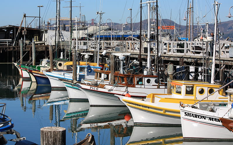 Fisherman's Wharf, commercia, boats, famous, bonito, bay, wharf, HD wallpaper