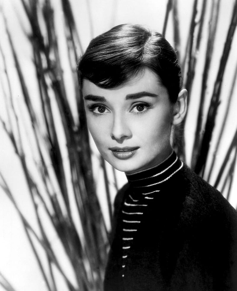 Audrey Hepburn, women, actress, brunette, monochrome, short hair, Hollywood, HD phone wallpaper