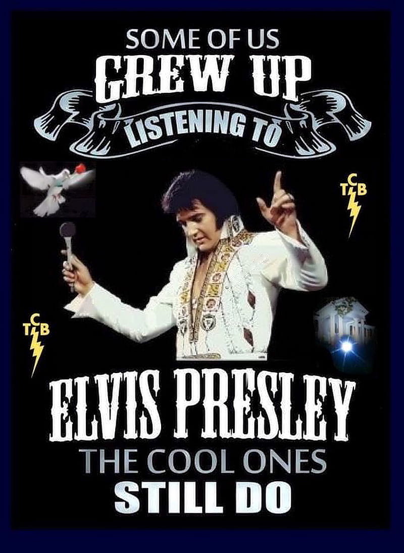 Elvis Presley, king, music, rock, singer, HD phone wallpaper