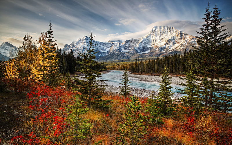 Jasper National Park, autumn, forest, mountains, canadian landmarks, Sunwapta River, Alberta, Canada, HD wallpaper