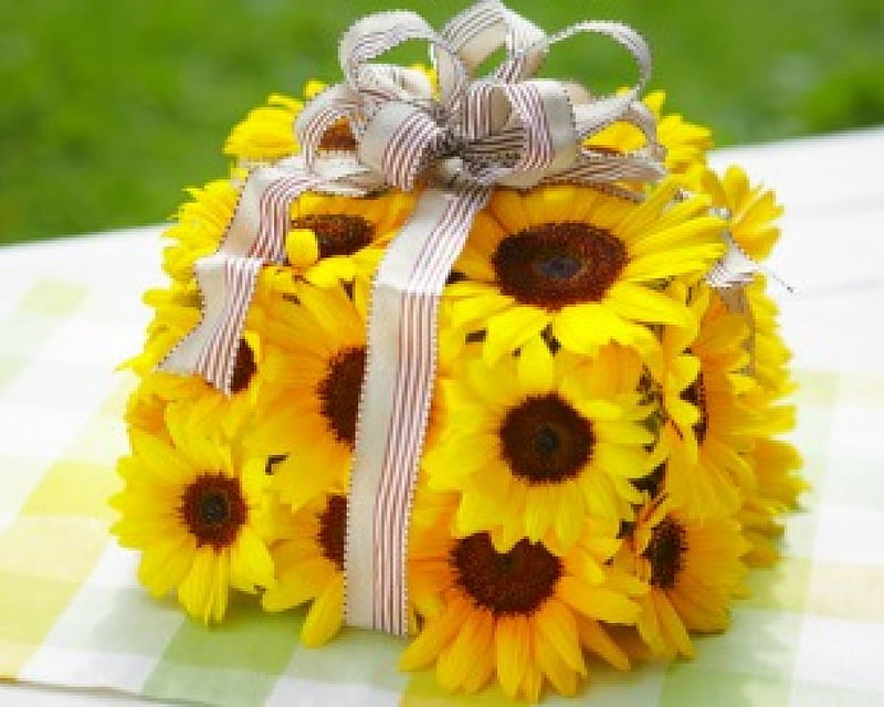 Regalo de girasol, flores, regalo, girasoles, cinta, Fondo de pantalla HD |  Peakpx