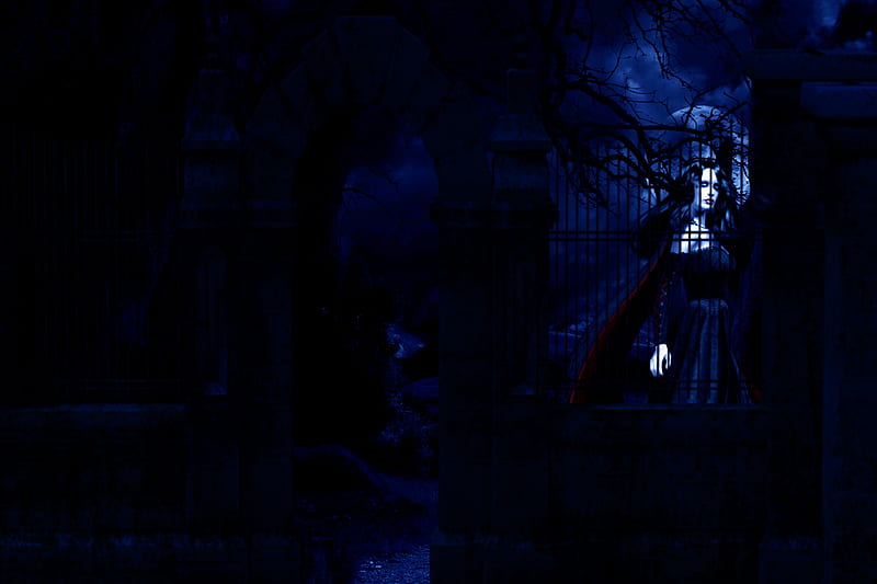 Lady of the Twilight, hop, Gateway, Forest, Moonlight, Twilight, Gothic, Vampire, HD wallpaper