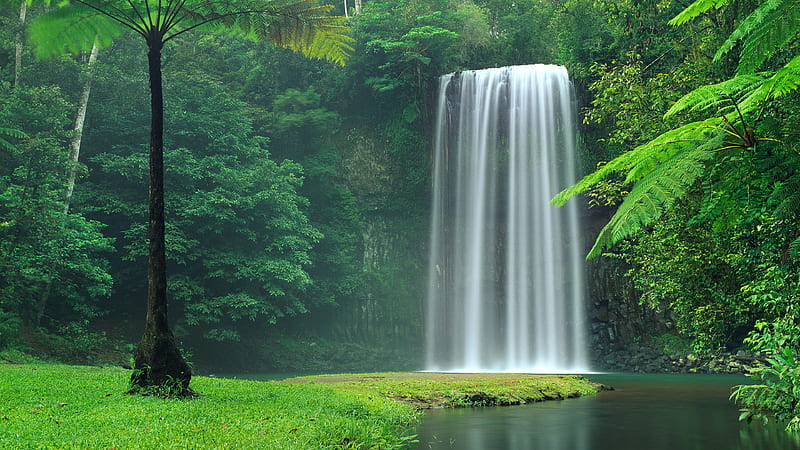 Beautiful Waterfalls Pouring On Lake Green Grass Field Trees Plants Bushes Fall, HD wallpaper