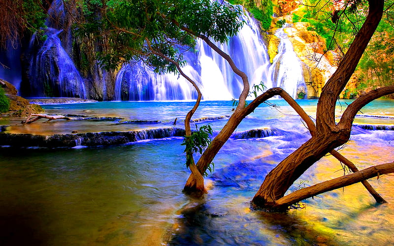 Hidden Beauty, pretty, mount, yellow, mountain, mounts, jungle, waterfall, beauty, season, reflection, dream-land, lovely, trees, water, cool, mountains, white, landscape, dreamy, bonito, graphy, leaves, green, scenery, blue, forest, view, clear, clean, shadow, spring, tree, summer, nature, branches, scene, HD wallpaper
