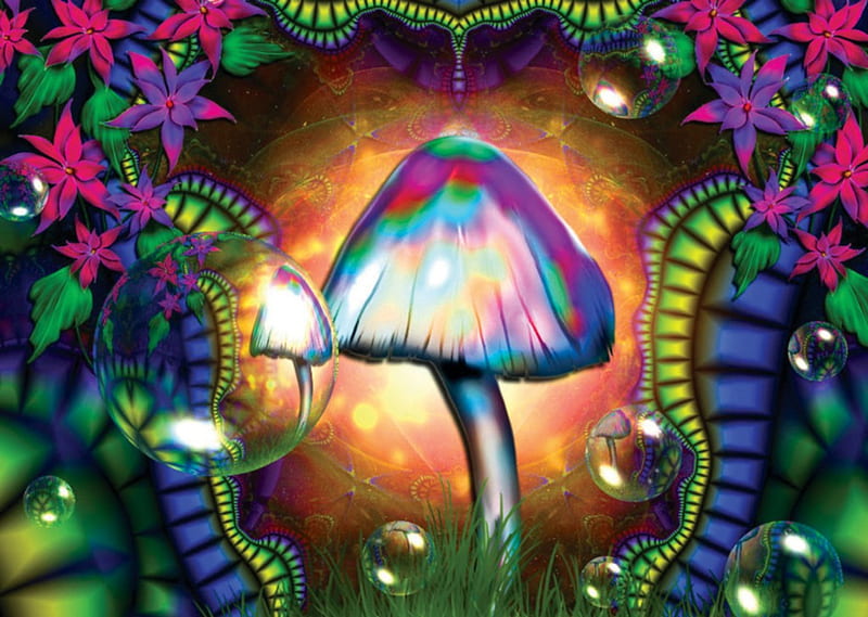 TRIPPY MUSHROOM, mushroom, best, trippy, natures, HD wallpaper | Peakpx