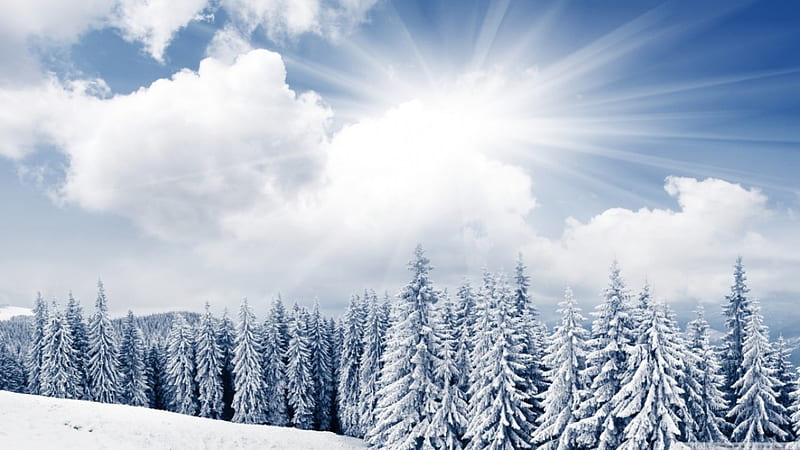 White paradise, forest, sun, sunlight, shine, sky, clouds, mounatins ...