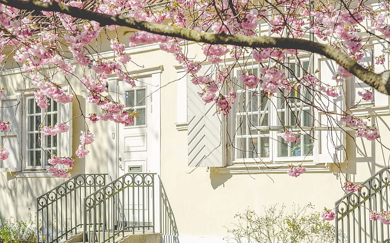 porch, wrought iron railings, interior, cherry blossoms, HD wallpaper
