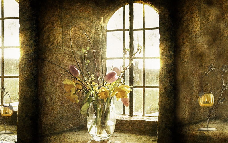 Old but lovely place, window, life, still, yellow, vase, sunny, old, candles, walls, flowers, day, tulips, sunshine, pink, HD wallpaper