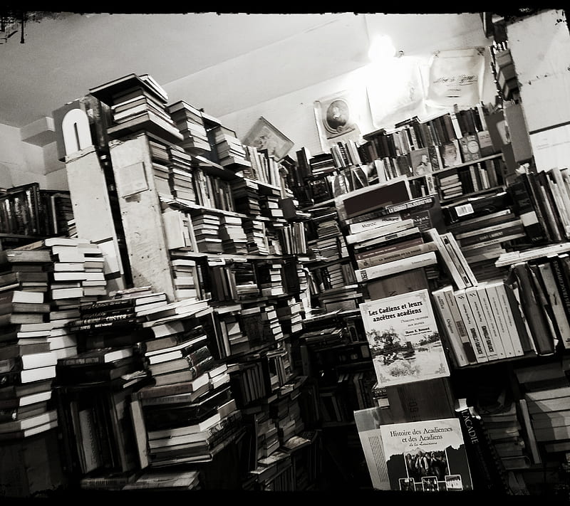 Bookstore, black, book, library, stacks, vintage, white, HD wallpaper
