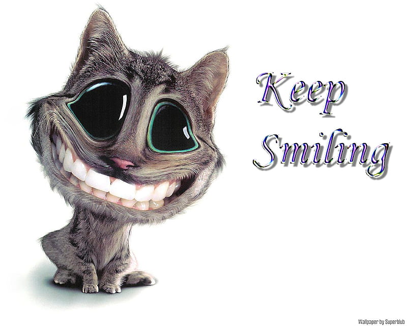 Keep Smiling, funny, smile, happy, entertainment, HD wallpaper | Peakpx