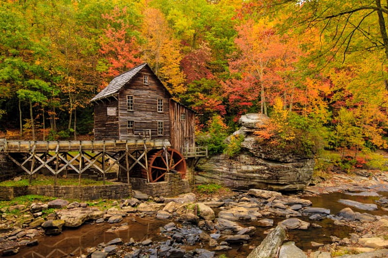 Autumn, forest, fall, trees, leaves, water, watermill, splendor, mountains, autumn colors, autumn splendor, nature, river, HD wallpaper