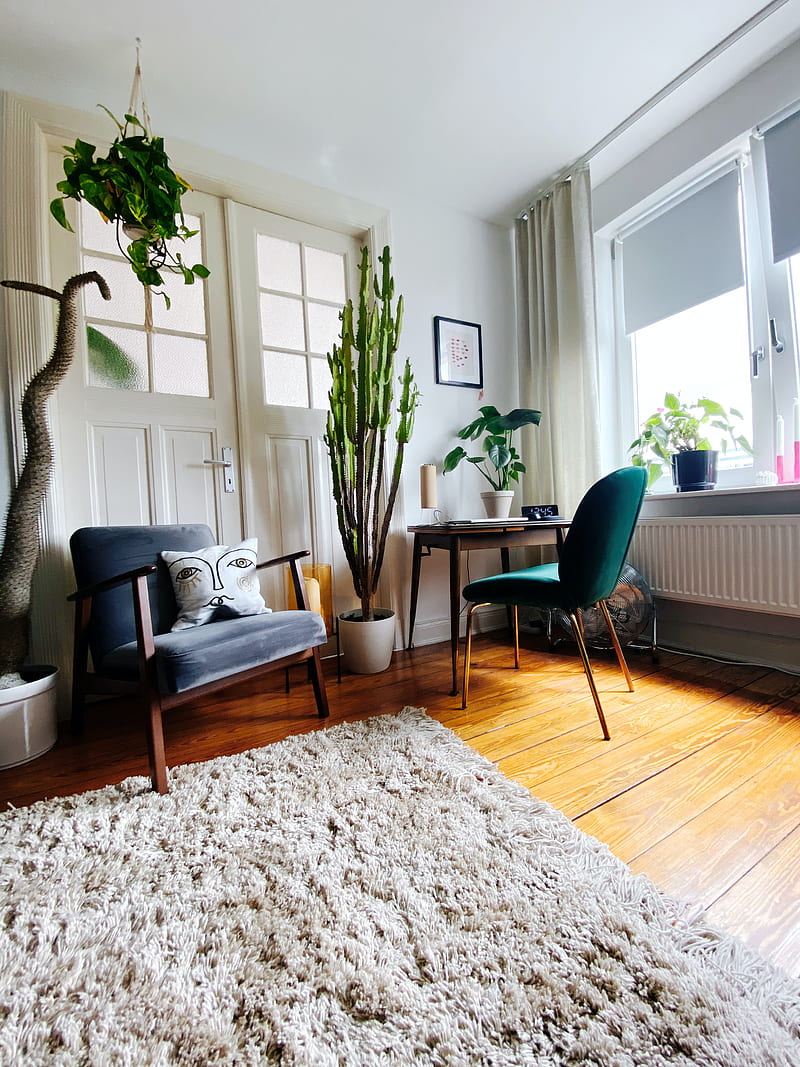 room, interior, armchair, table, houseplant, HD phone wallpaper