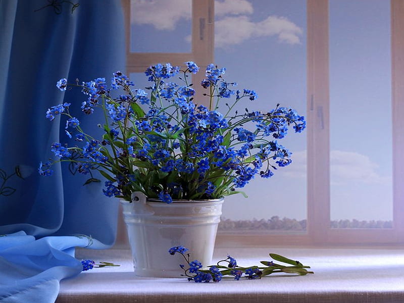 Blue Flowers, buttons, with love, pretty, still live, bonito, bucket, pail, still life, graphy, flowers, beauty, tin, tender, for you, blue, art, lovely, window, romantic, view, life, romance, flower, store, nature, petals, HD wallpaper