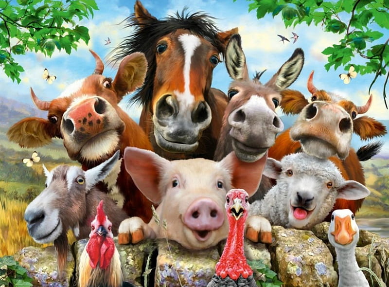 Farmyard Selfie, rocks, donkey, leaves, goat, cows, rooster, pig, birds, butterflies, selfie, goose, horse, sheep, turkey, funny, farmyard, branches, HD wallpaper