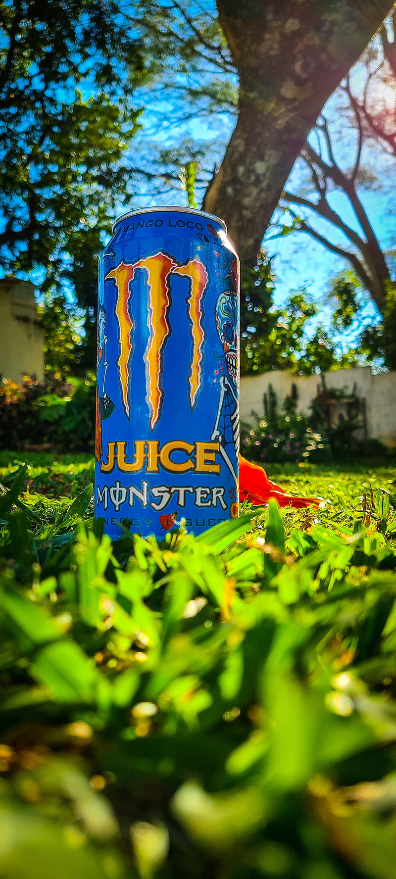 Monster Energy Drink, energydrink, good, juice, loco, mango, HD phone wallpaper