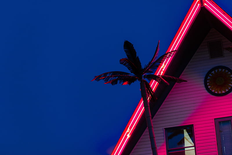 palm, roof, neon, backlight, red, HD wallpaper
