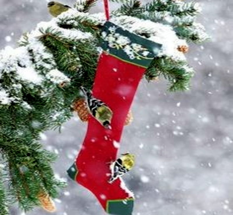 Old Fashioned Winter, Tree, Fashioned, Winter, Christmas, Old, Socks, HD wallpaper