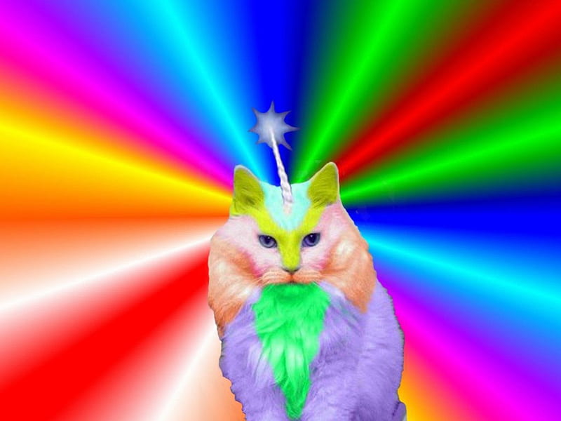 Rainbow Cat, color, magic, rainbow, cat, HD wallpaper