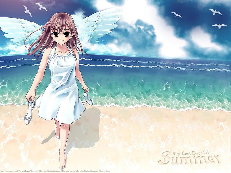 Am Your Protector, female, protector, animated, beach, anime angel, angel wings, anime girl, blue sky, white dress, HD wallpaper