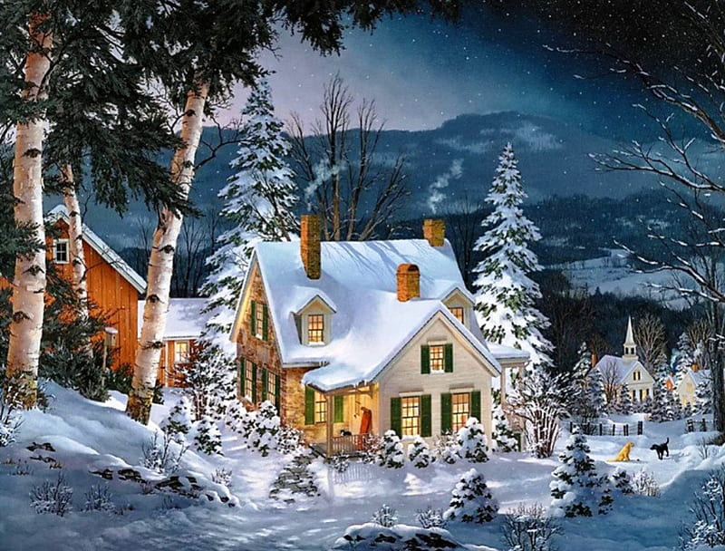 Peaceful winter night, colorful, house, christmas, bonito, trees ...