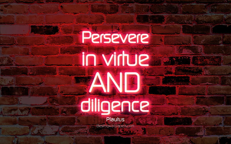 Persevere in virtue and diligence purple brick wall, Plautus Quotes, neon text, inspiration, Plautus, quotes about persevere, HD wallpaper