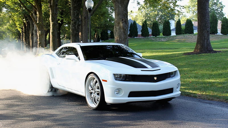 chevrolet humo blanco en las llantas, humo, white, llantas, chevrolet, HD wallpaper