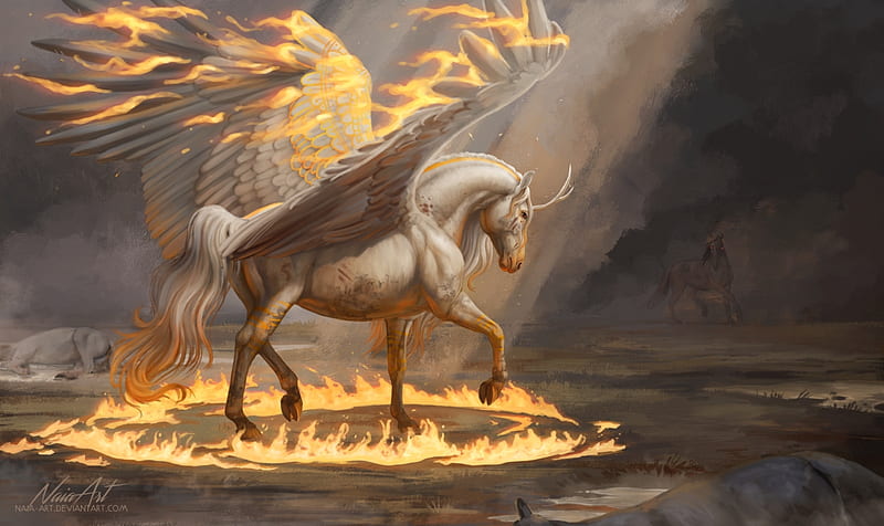 Pegasus, fantasy, wings, luminos, orange, naia art, art, frumusete, fire, white, HD wallpaper