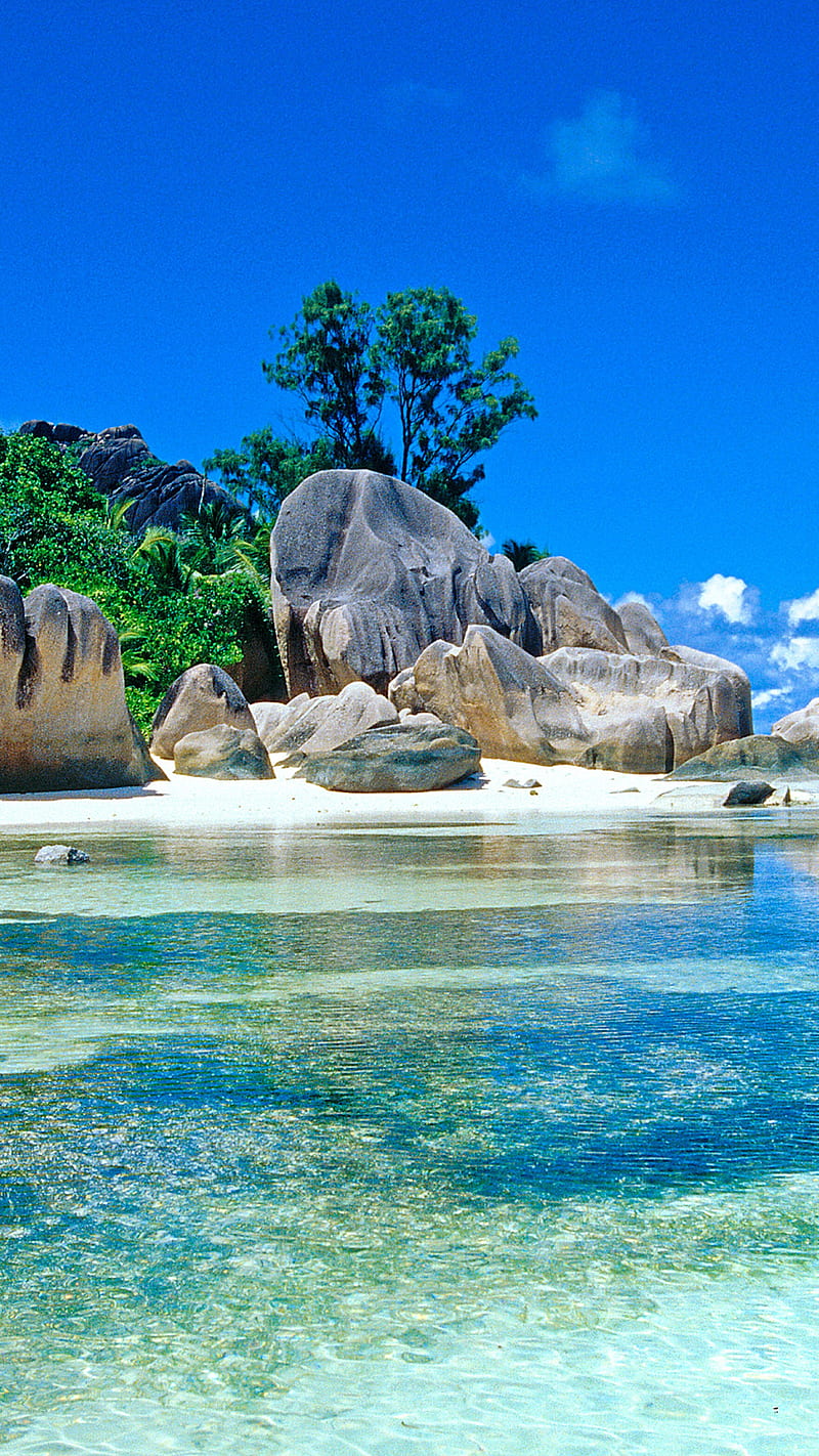 Wallpaper Seychelles, beach, sky, sea, clouds, rocks, sand, palms for  mobile and desktop, section природа, resolution 2560x1440 - download