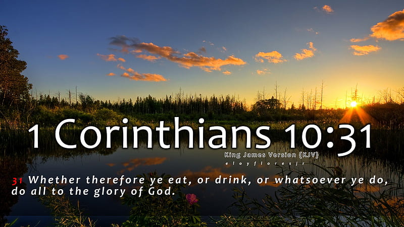 1 Corinthians 10:31, bible verse, bible verse background, 1 Corinthians 10 31, bible verse, HD wallpaper