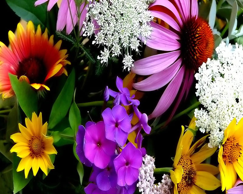 Sweet Flowers, flowers, sweet, HD wallpaper | Peakpx