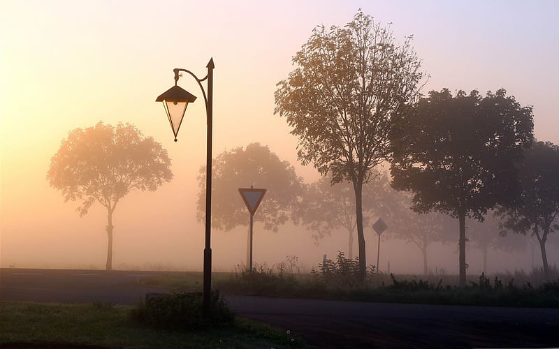 foggy crossroads-autumn landscape, HD wallpaper