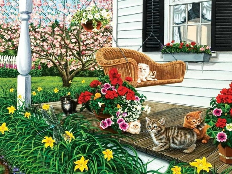 In the Swing of It, fence, grass, daffodils, dragonfly, flowers, chair, wood, drapes, window, curtains, kittens, yard, tree, shutters, pots, swing, porch, blossoms, cats, HD wallpaper