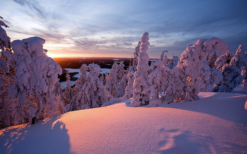 Winter lapland finland-2015 Landscape, HD wallpaper