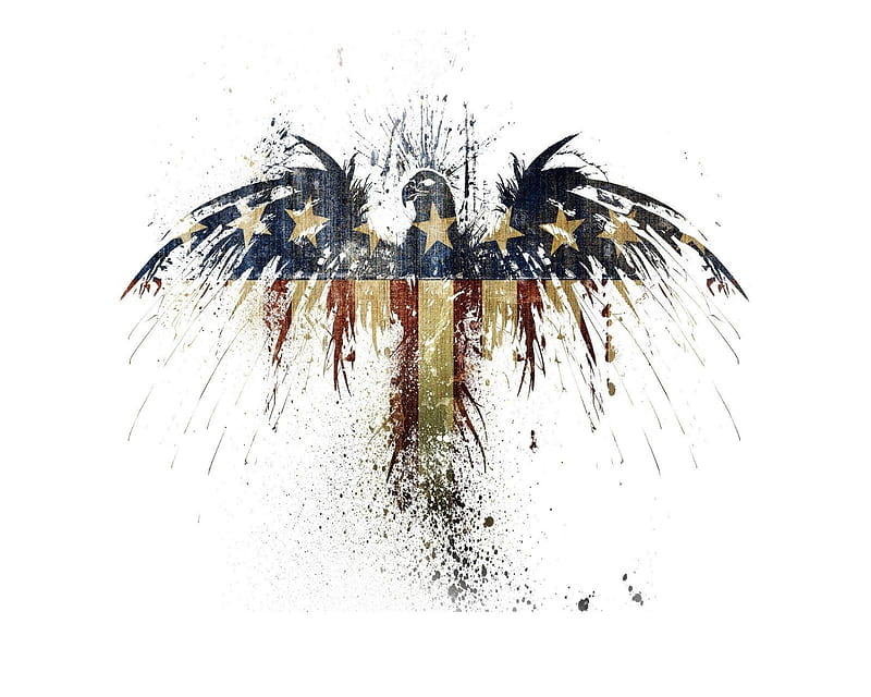 Eagle Usa, eagle, flag, us, HD wallpaper