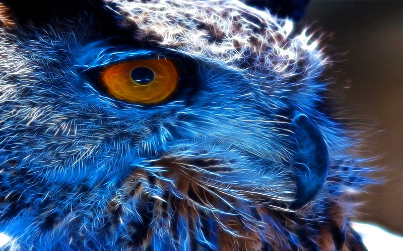 The Watching Owl, owl, beauty, fractalius, bird, HD wallpaper