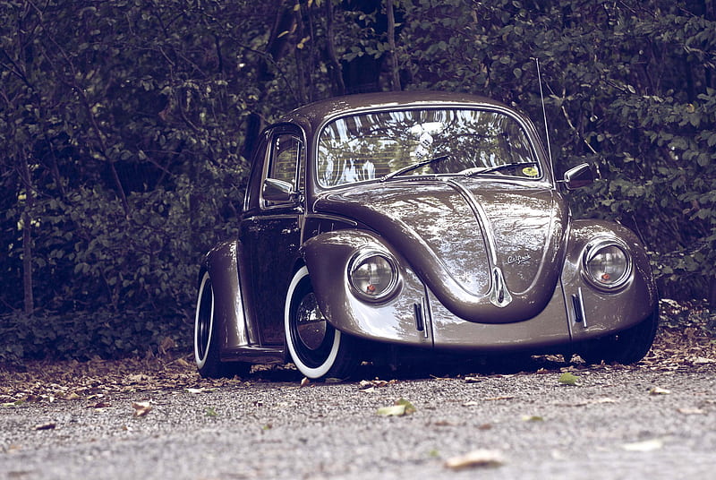 Beetle, auto, car, oldtimer, vehicle, HD wallpaper