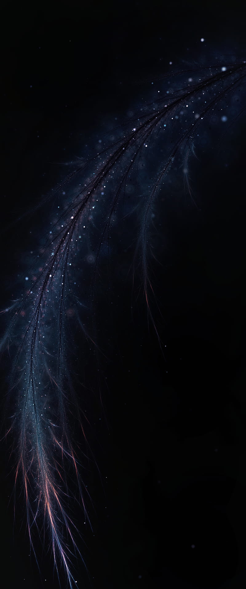 fractal, shine, feather, branch, dark, HD phone wallpaper