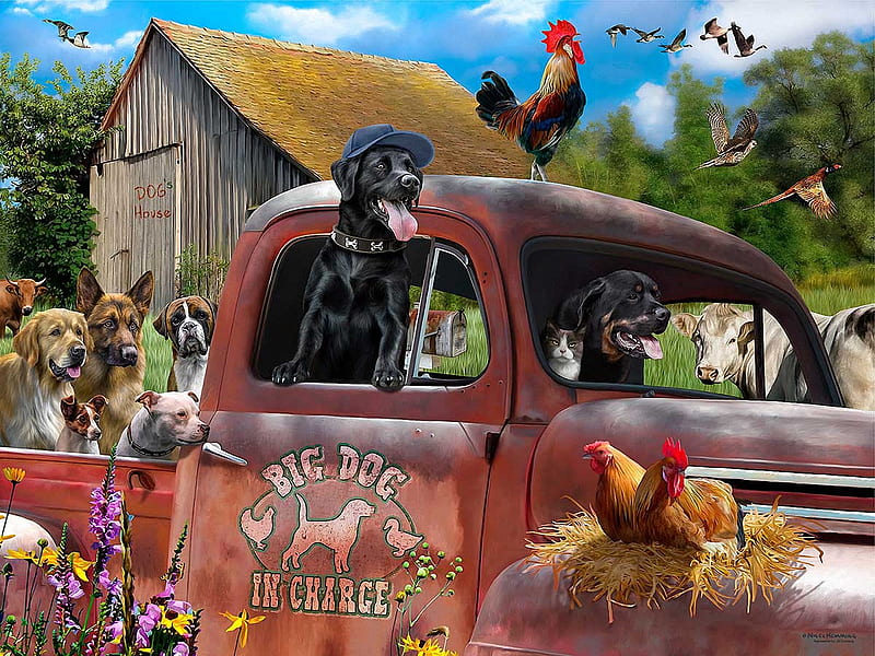 Big dog in charge, rooster, hens, car, digital, poultry, shed, dogs, artwork, cat, HD wallpaper
