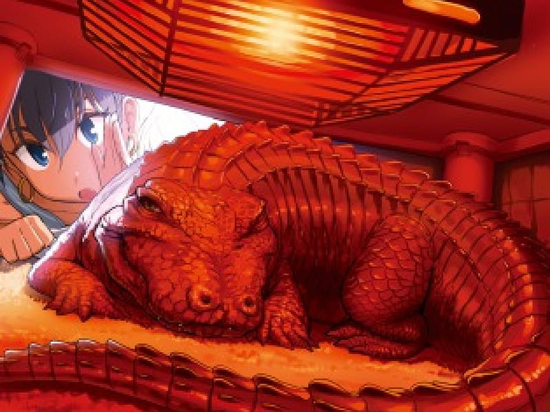 Anime, red, alligator, idolmaster, kotatsu, ganaha hibiki, HD wallpaper