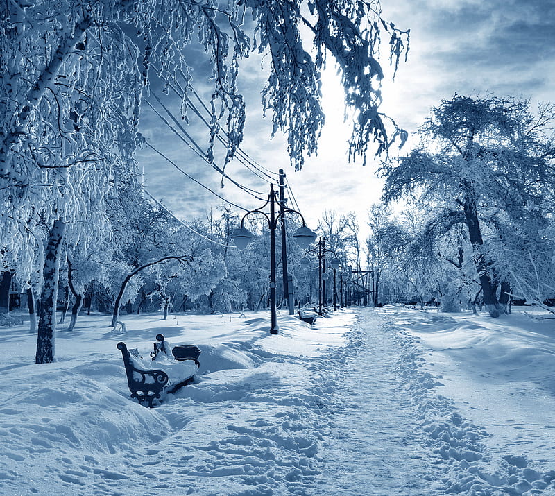 Winter, bench, december, park, path, snow, white, HD wallpaper