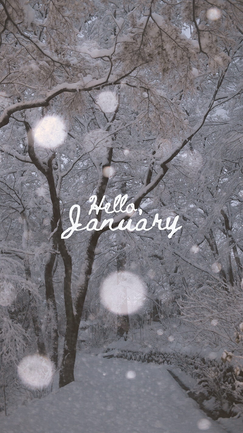 40 Gorgeous Free January Wallpaper For iPhone 