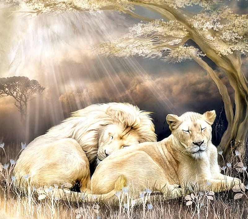 Leones blancos, pintura, leones, blanco, animales, Fondo de pantalla HD |  Peakpx