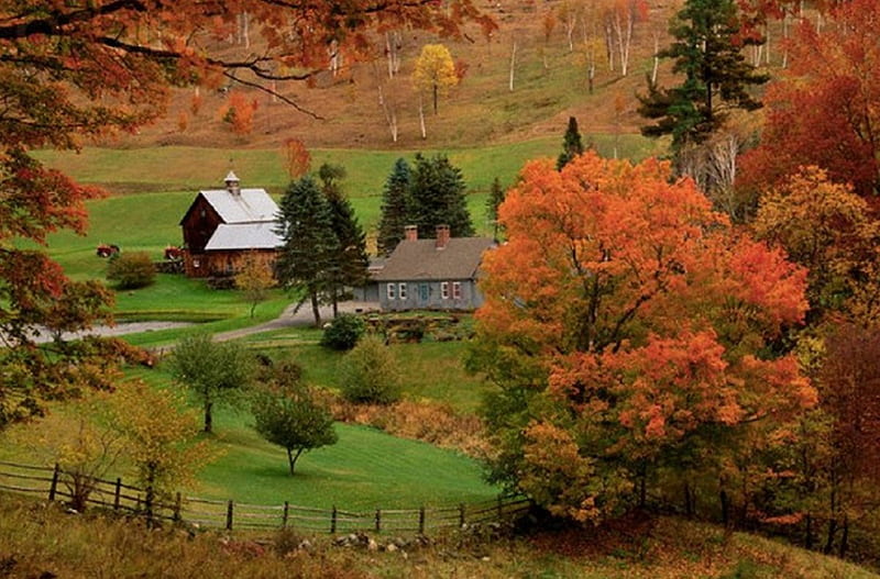 Autumn at the Farm, farm, autumn, fields, trees, landscape, HD ...