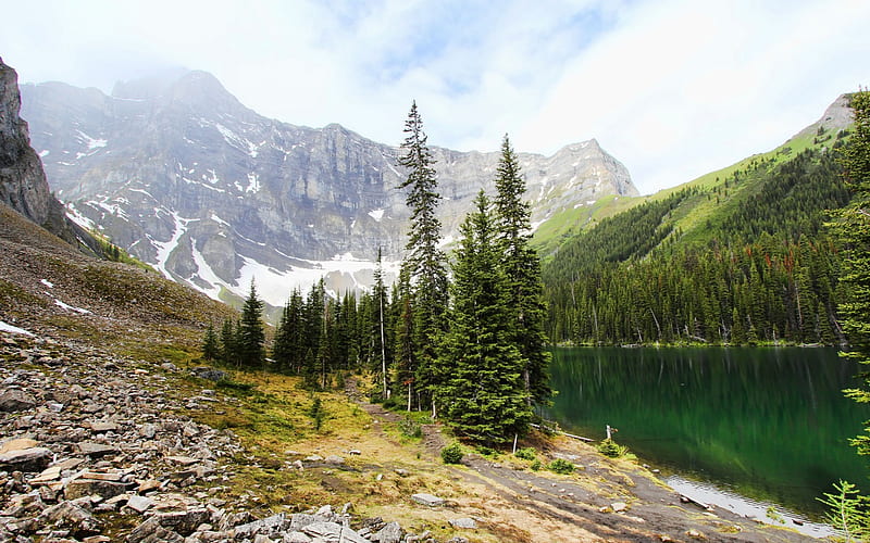 mountain lake, forest, fog, mountains, glacial lake, Canada, HD wallpaper