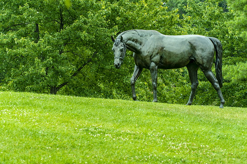 Iron Horse, metal, statue, grass, kentucky, iron, country, trees, HD wallpaper