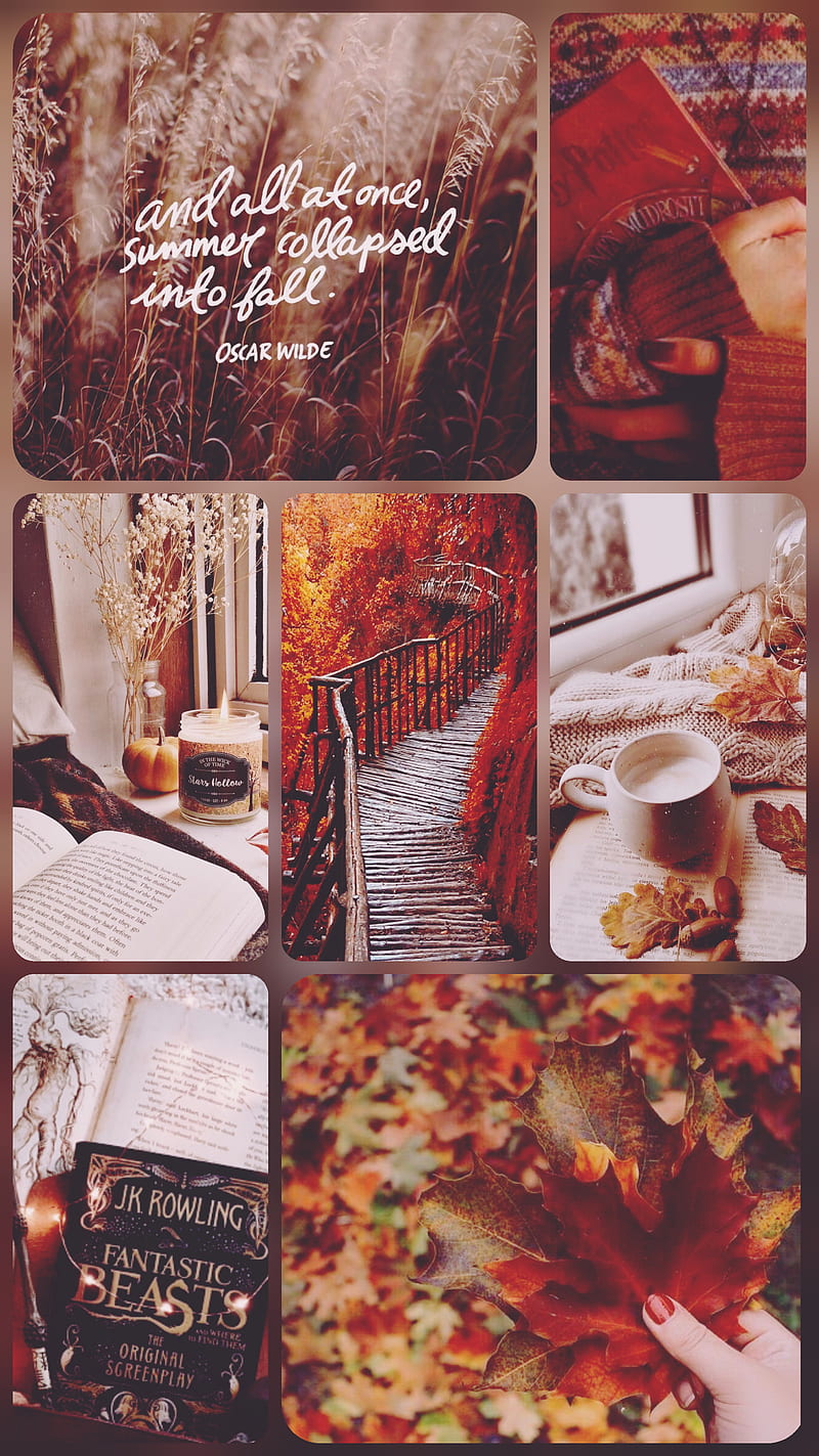 Autumn love, cozy, fall, HD phone wallpaper