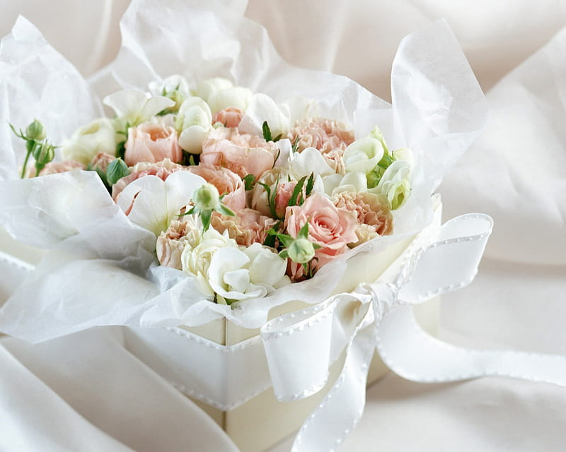 A sweet present for my DN friends, friend, rose, lace, box, bonito, silk, aroma, sweet, green, pink, friends, present, ribbon, soft, roses, bouquet, white, cream, HD wallpaper