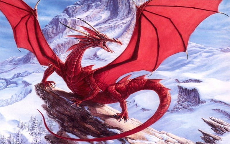 Dragon of dawn, goth, fantasy dark dragon, fairy, HD wallpaper