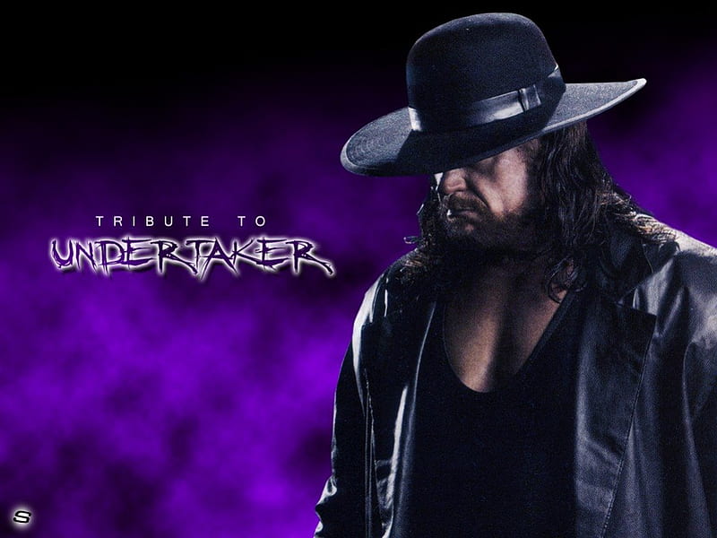 the undertaker, wrestling, scary, the, undertaker, star, HD wallpaper