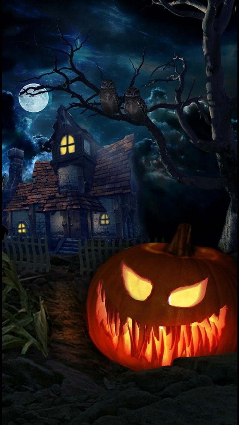 Jack, halloween, pumpkins, pumpkin, halloween pumkin, halloween pumpkins, halloween , halloween favorites, HD phone wallpaper